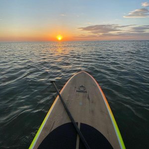 成人版巜劳伦的性放荡ID
